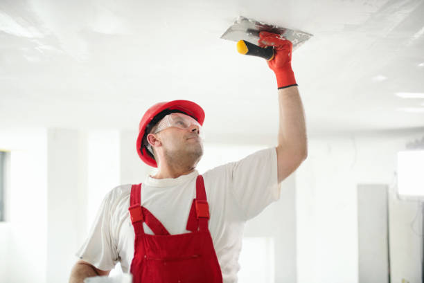 Best Eco-Friendly and Low-VOC Painting  in Huxley, IA